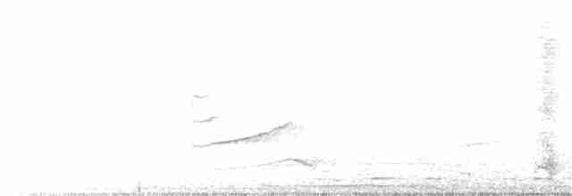 Pale-browed Tinamou - ML312026891