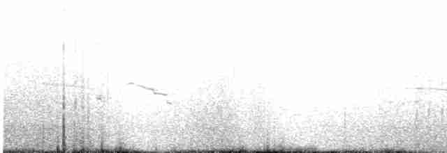 北極鷗 - ML312083471
