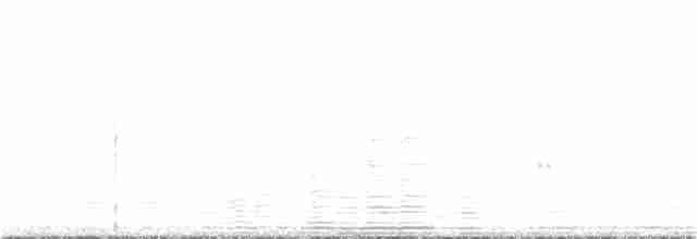 trikolorhonningeter - ML312127511
