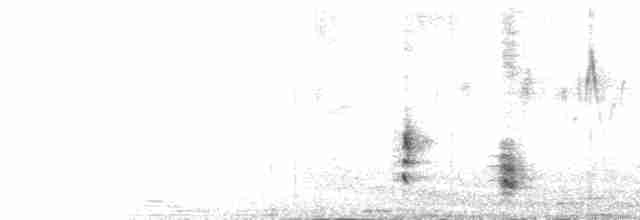 Clamorous Reed Warbler - ML312176181