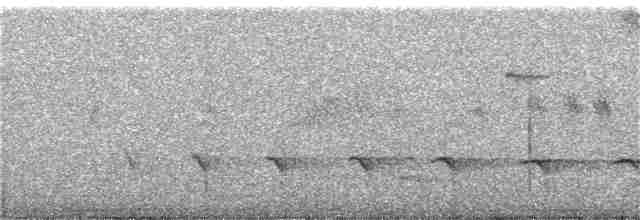 Rufous-lored Kingfisher - ML312239241