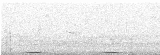 holub černošíjný - ML312250451