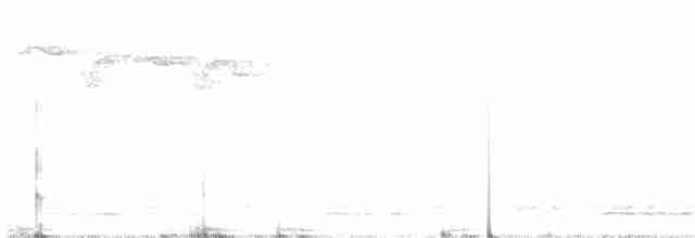 Борнейская лесная куропатка - ML312290951