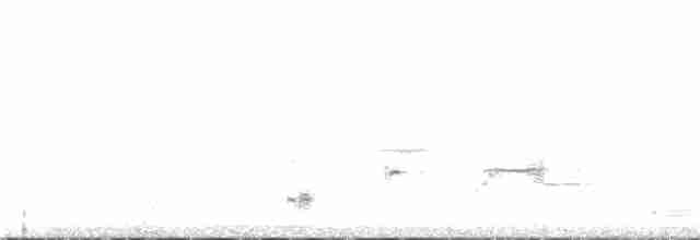 Psophode à menton noir - ML312449891