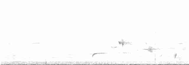 Psophode à menton noir - ML312450151