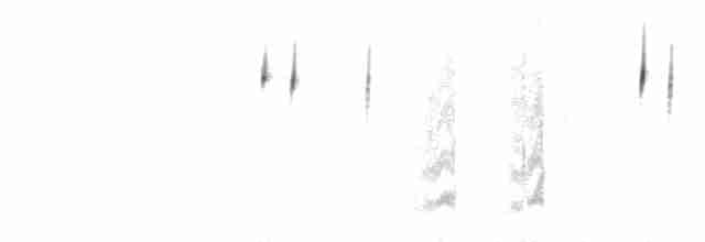 クロフヒメドリ（canescens） - ML312559261