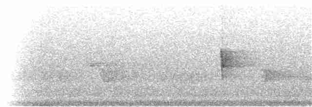 Hermit Thrush (faxoni/crymophilus) - ML31258861