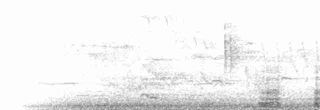 Great Cormorant - ML312616011