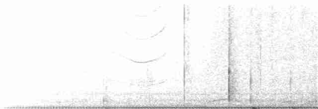 Трупіал плямистоволий - ML312621111