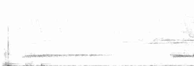 Синелицый бородастик - ML312647731