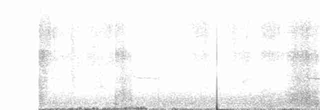 Сорокопуд сірий - ML312676001