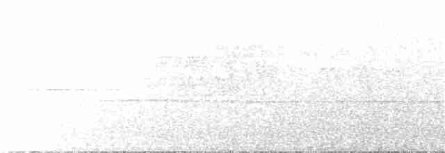Белогорлая зонотрихия - ML312701841