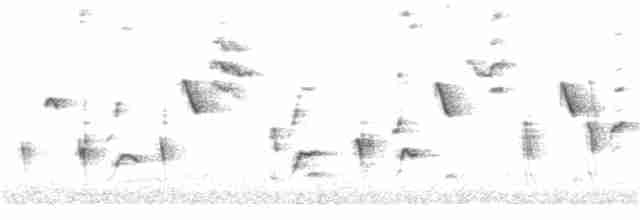 Нектарка малахітова - ML312702241