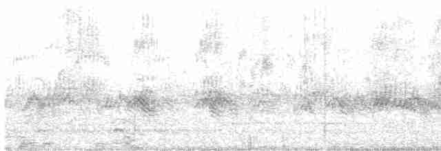 Evening Grosbeak (type 3) - ML312718281