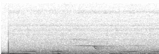 holub černošíjný - ML312725521