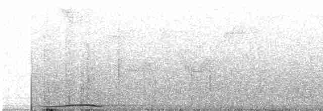 holub černošíjný - ML312737221