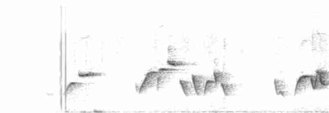 Troglodyte à poitrine grise - ML312808451