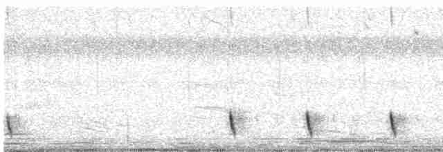 Indian Nightjar - ML312910131