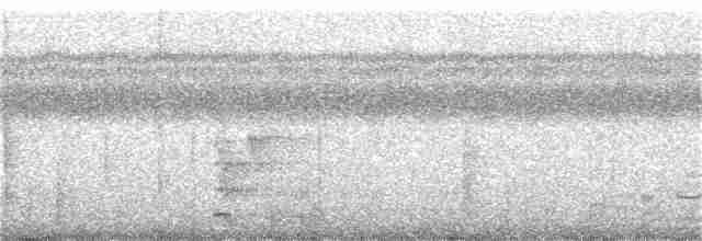 Sulu Raket Kuyruklu Papağanı - ML312939111