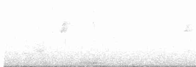 Чатемский хакавай - ML313101321