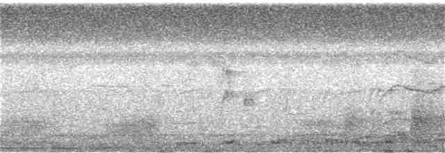 Малый пегий зимородок - ML313152081