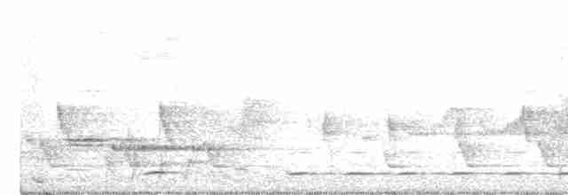 Kara Boğazlı Çalı Timalyası - ML313400891