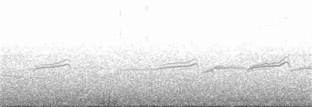 Gallo Oscuro - ML313402661
