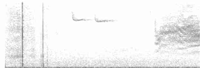 Bewick Çıtkuşu - ML313411821