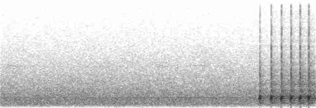 strakapoud bělohřbetý - ML313457611