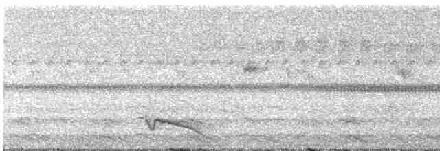 Ecuadornachtschwalbe - ML313477521