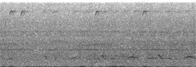 Lyre-tailed Nightjar - ML313509761