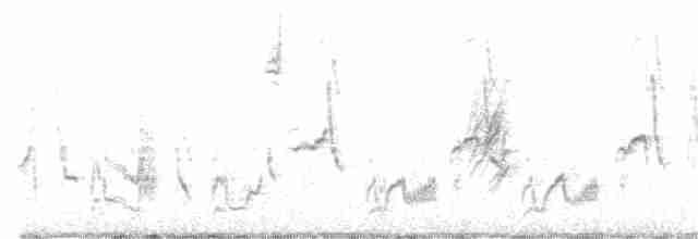 Тремблер кактусовий - ML313561511
