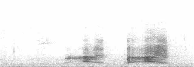 Braunnackenfrankolin (castaneicollis) - ML31365261