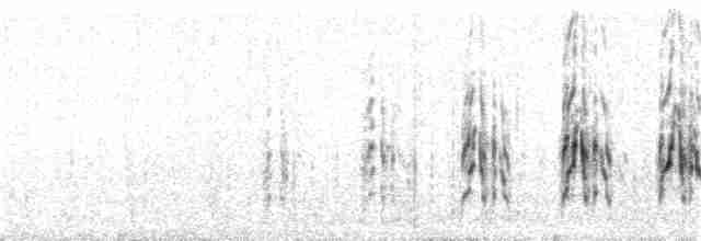 lyngfrankolin - ML31365801