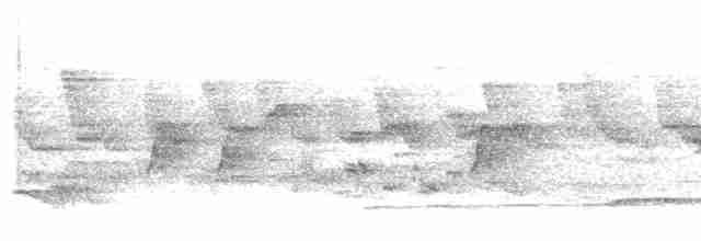 Fork-tailed Sunbird (Fork-tailed) - ML313662891