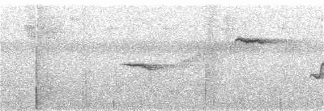 rødhalefluesnapper (ocularis) - ML313731311