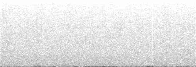Пестрогрудый тираннчик - ML313834251
