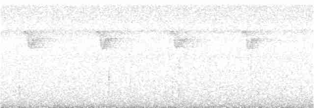 Белобородый колибри-отшельник - ML313835841