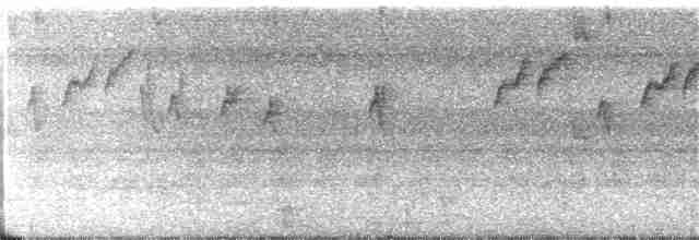 Прямоклювый колибри-отшельник - ML313883131