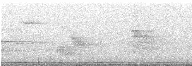 Gray Catbird - ML31402301