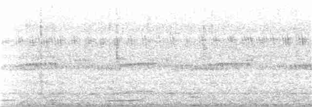 Сова-голконіг далекосхідна - ML314045371