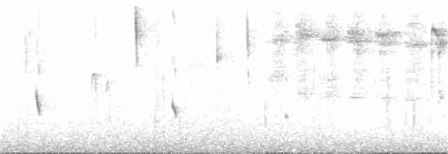 White-throated Treerunner - ML31419301