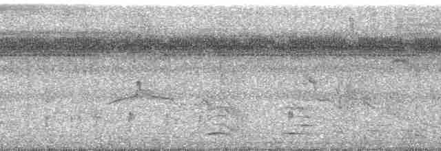White-throated Crake (Rufous-faced) - ML31422