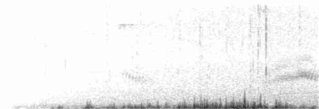 Тауї плямистий - ML314227551