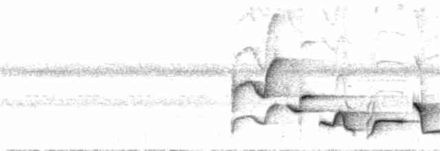 Troglodyte moine - ML31433361