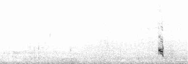 Пірникоза юнінська - ML31433401