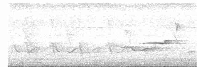 Mangrove Whistler - ML314384251