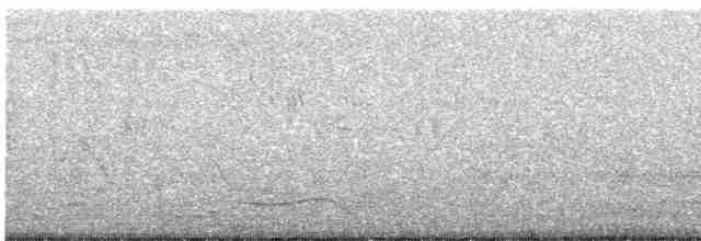 Siamese Pied Starling - ML314416861