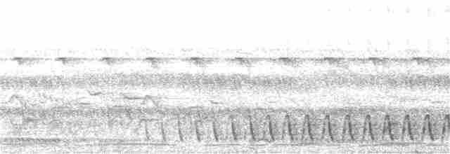 Slender-tailed Nightjar - ML314549041