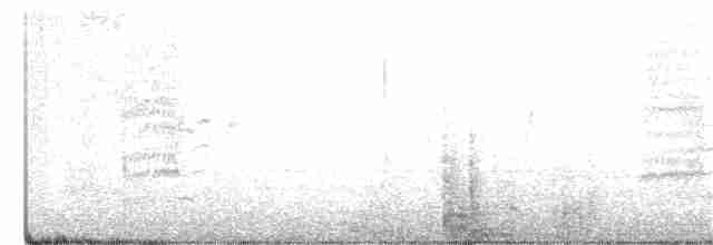Chinese Gray Shrike - ML314753971
